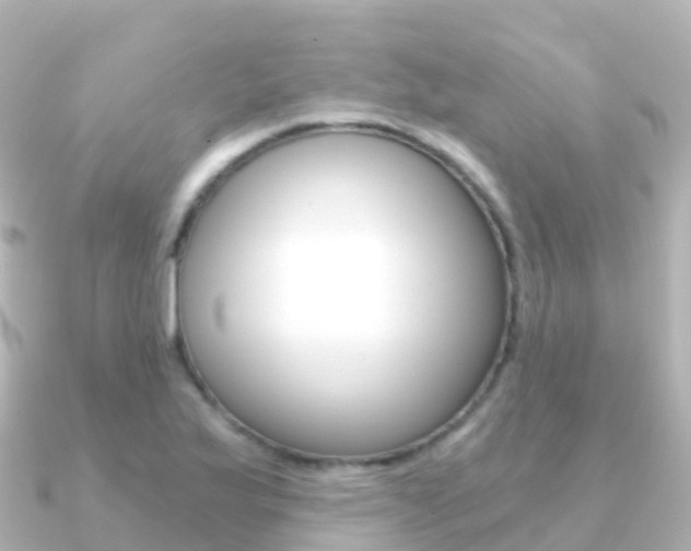 X0000091361175200708101049