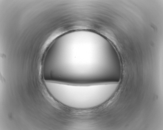 X0000091361179200708101049