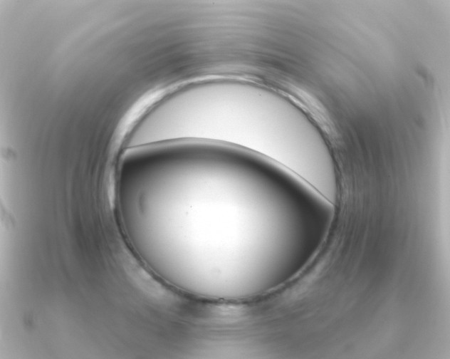 X0000091361180200708101049