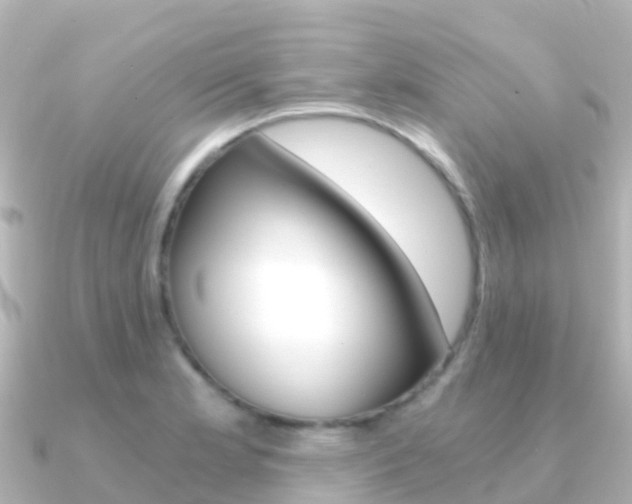 X0000091361181200708101049