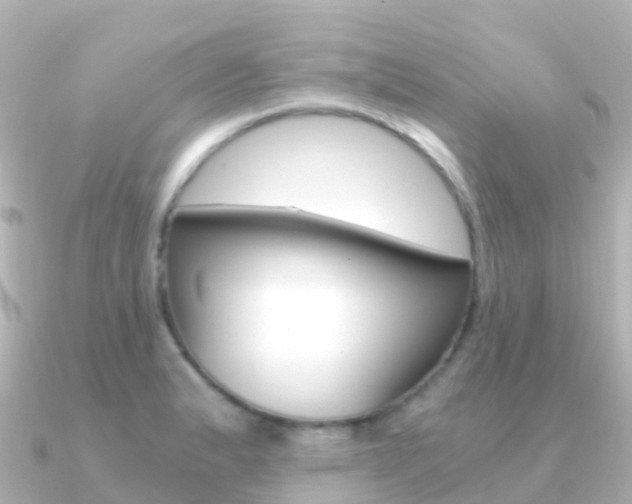 X0000091361183200708101049