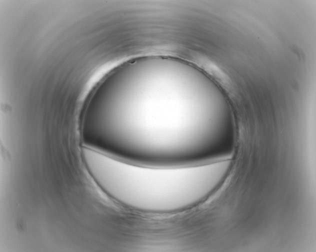 X0000091361184200708101049