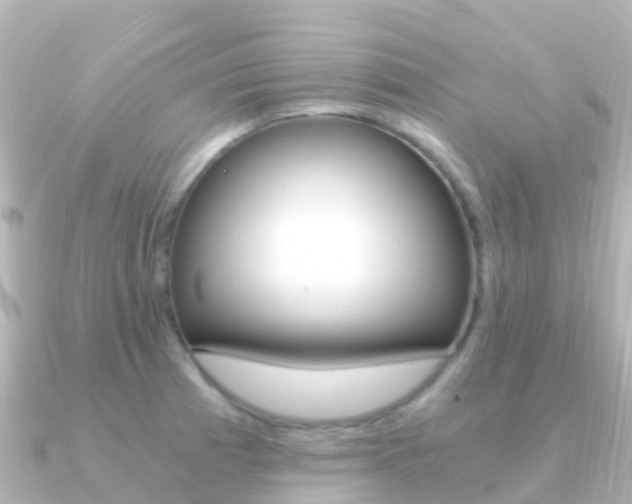 X0000091361185200708101049