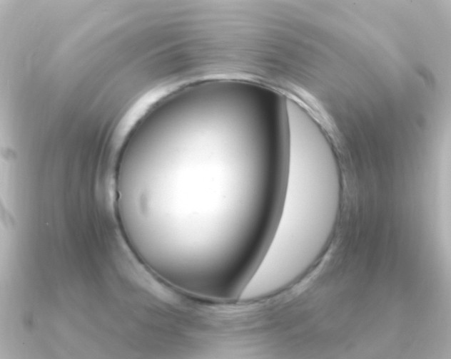 X0000091361188200708101049