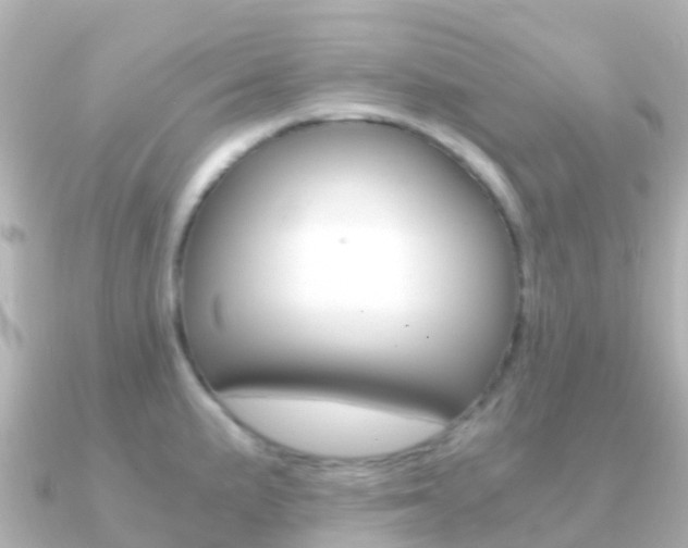 X0000091361191200708101049