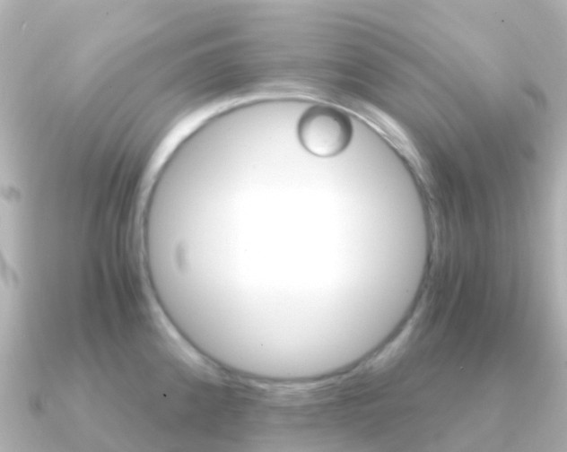 X0000091361192200708101049