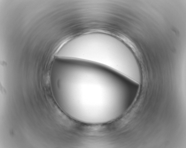 X0000091361193200708101049