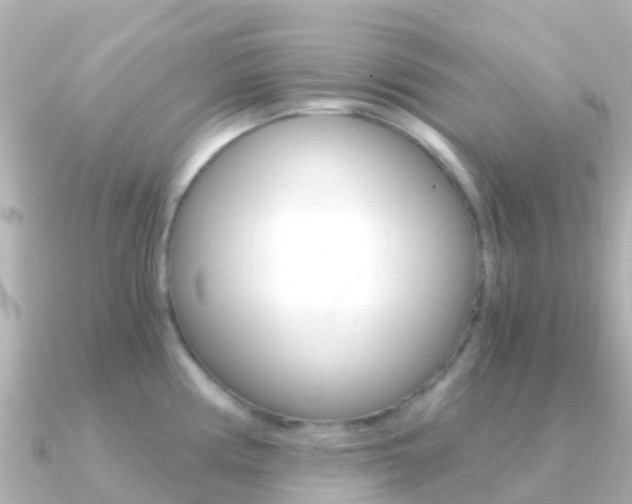 X0000091361194200708101049