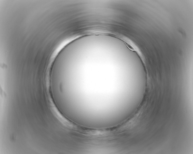 X0000091361195200708101049