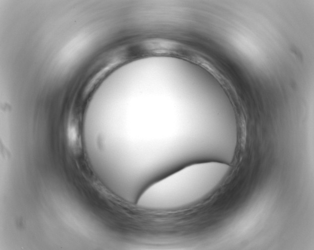X0000091361198200708101049