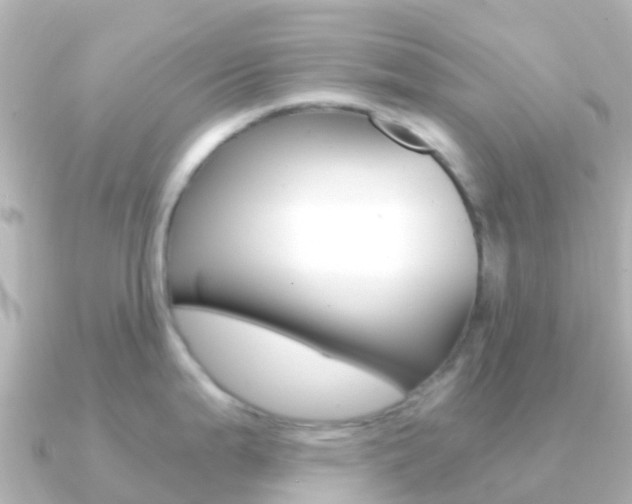 X0000091361199200708101049