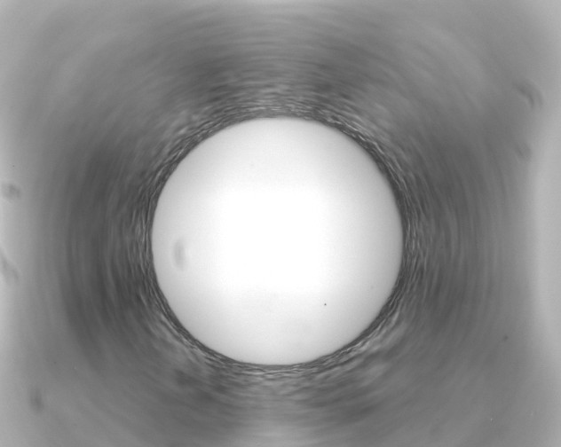 X0000091361202200708101048