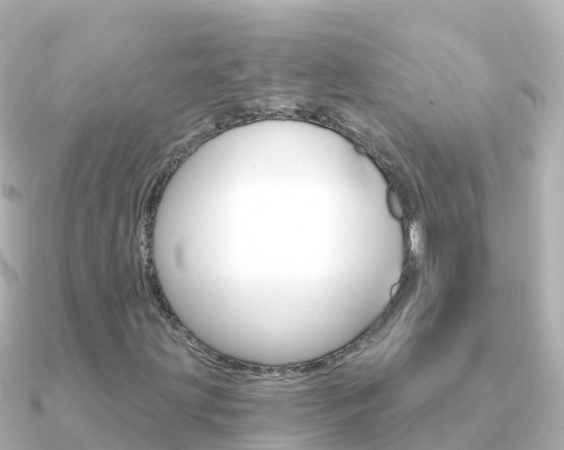 X0000091361203200708101048