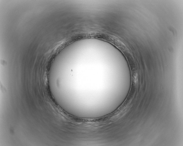 X0000091361204200708101048