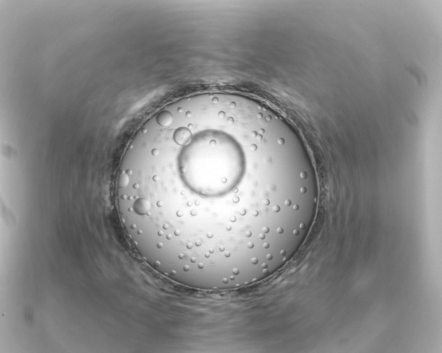 X0000091361205200708101048