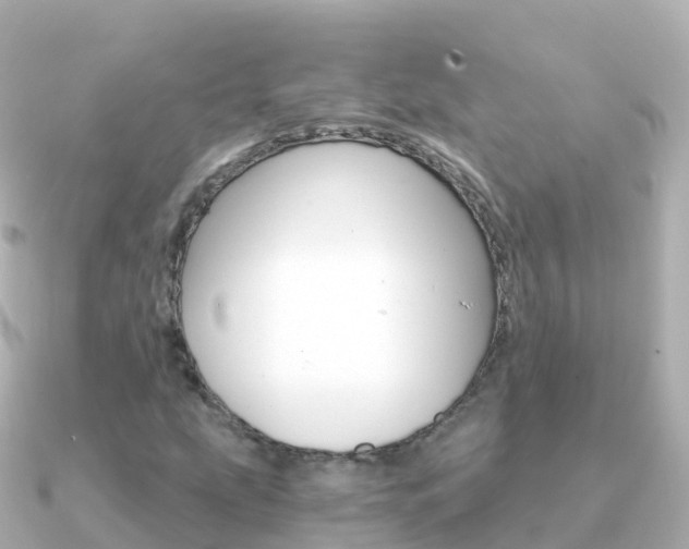 X0000091361207200708101048