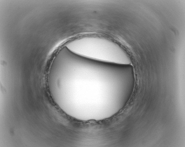 X0000091361208200708101048