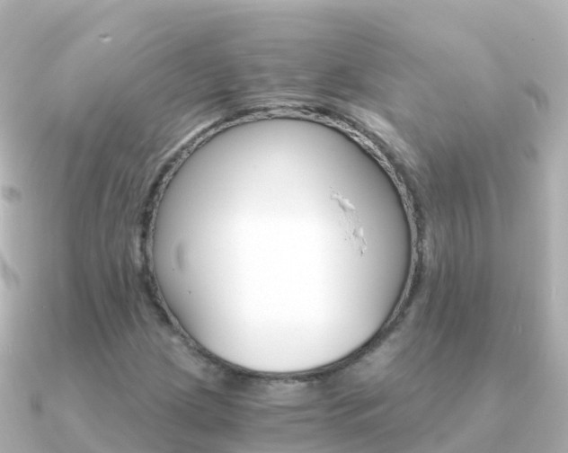 X0000091361209200708101049