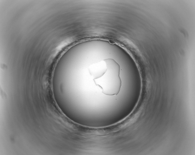 X0000091361210200708101049
