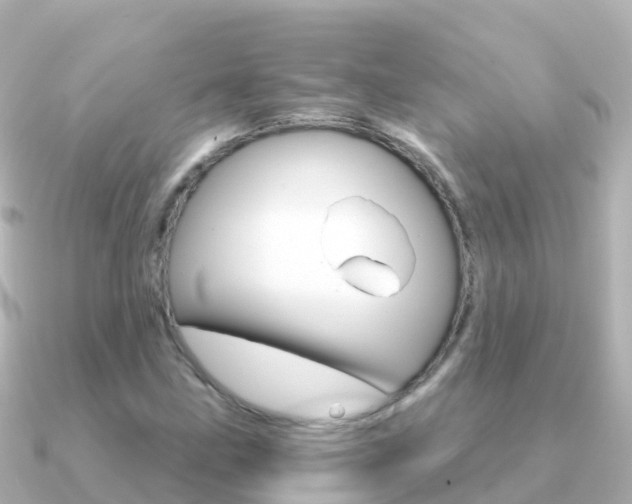 X0000091361211200708101049