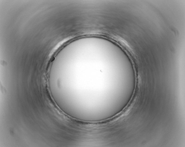 X0000091361212200708101049