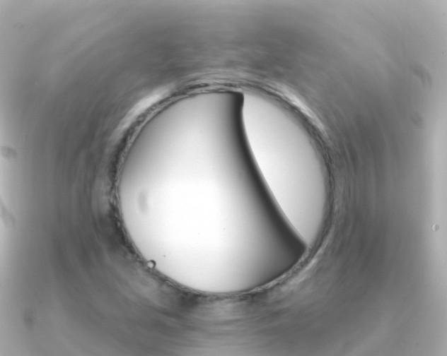 X0000091361213200708101049
