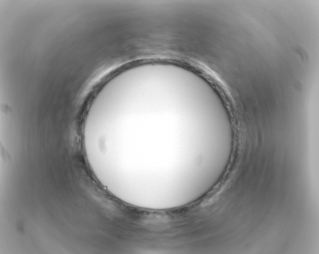 X0000091361215200708101049