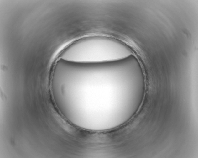 X0000091361216200708101049