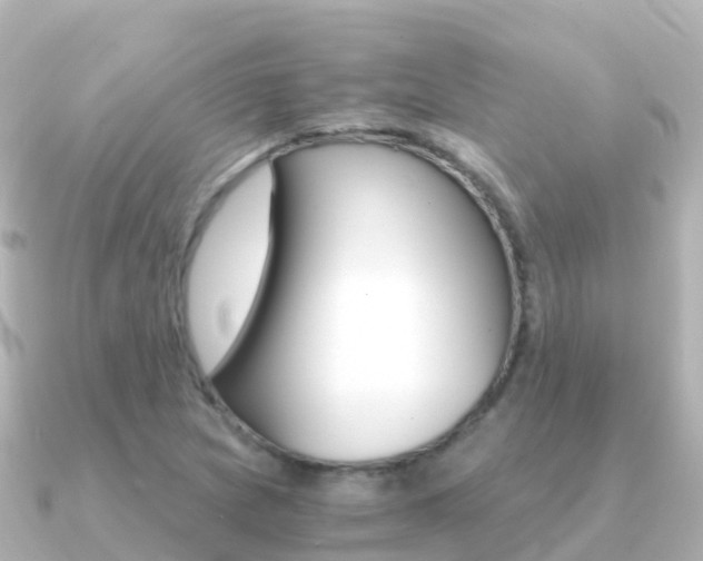 X0000091361217200708101049