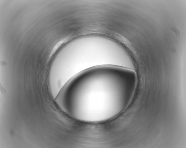 X0000091361218200708101049