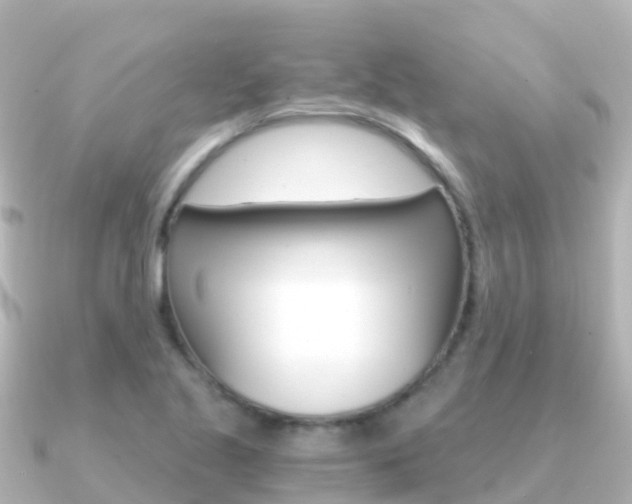 X0000091361221200708101049