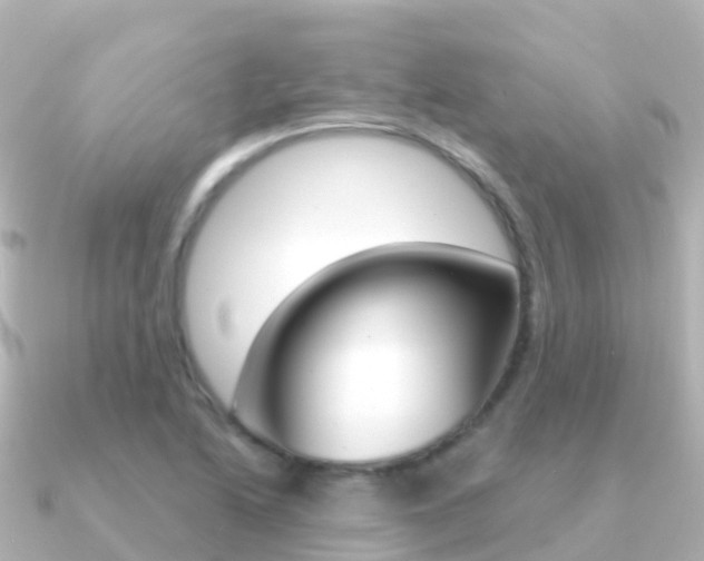 X0000091361222200708101049