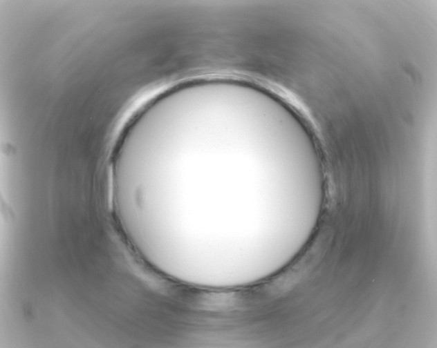 X0000091361223200708101049
