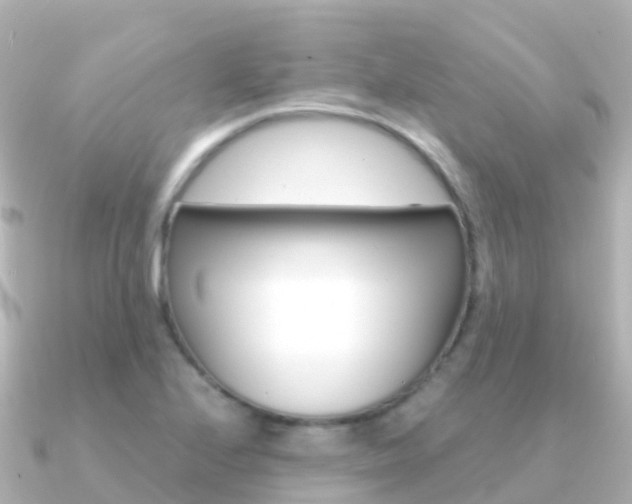 X0000091361224200708101049