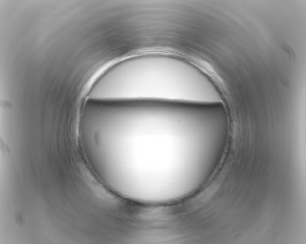 X0000091361228200708101049