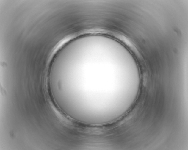 X0000091361229200708101049