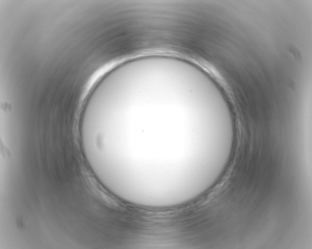 X0000091361230200708101049