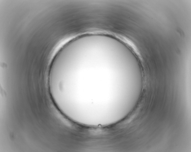 X0000091361231200708101049