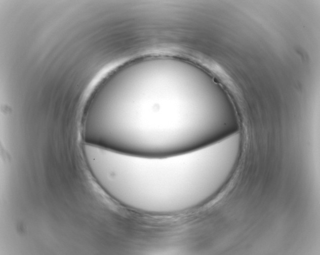 X0000091361232200708101049