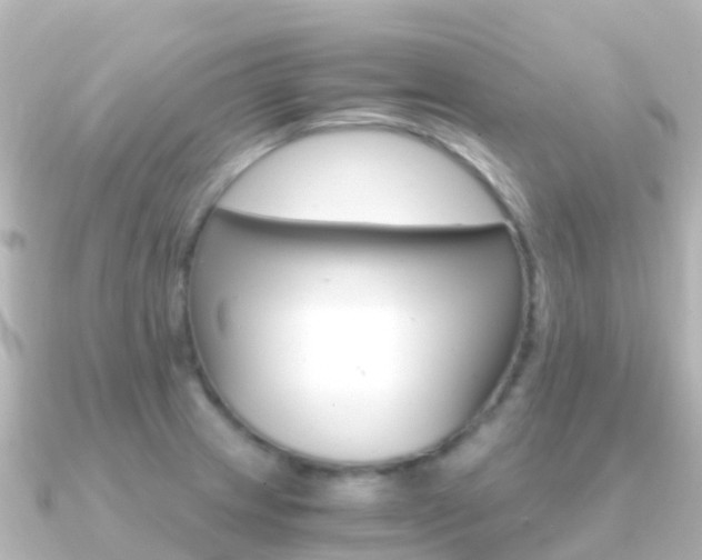 X0000091361233200708101049