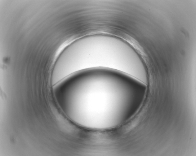 X0000091361234200708101049