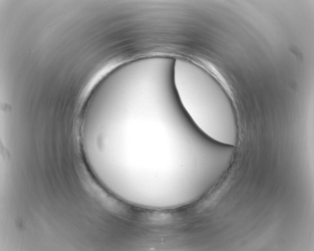 X0000091361235200708101049