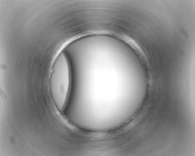 X0000091361236200708101049