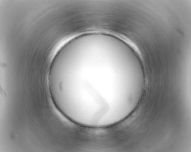 X0000091361239200708101049