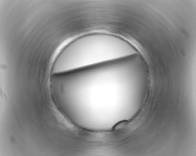 X0000091361240200708101049