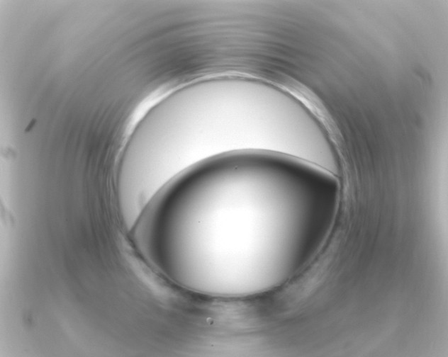 X0000091361242200708101049