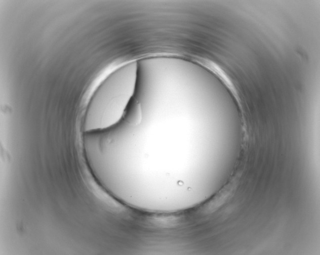 X0000091361243200708101049