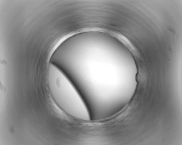 X0000091361244200708101049