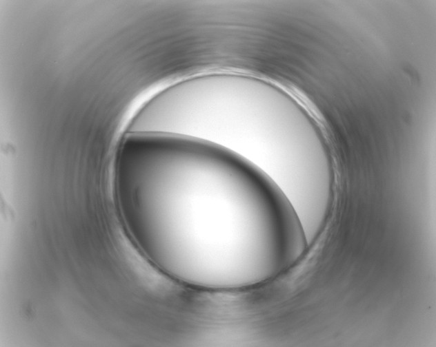 X0000091361246200708101049