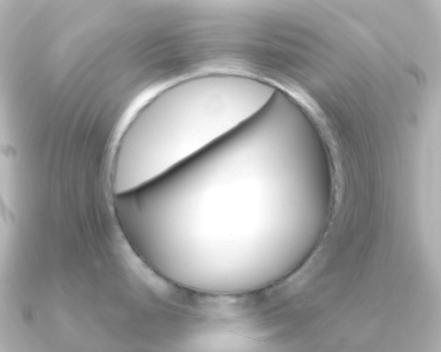 X0000091361248200708101049